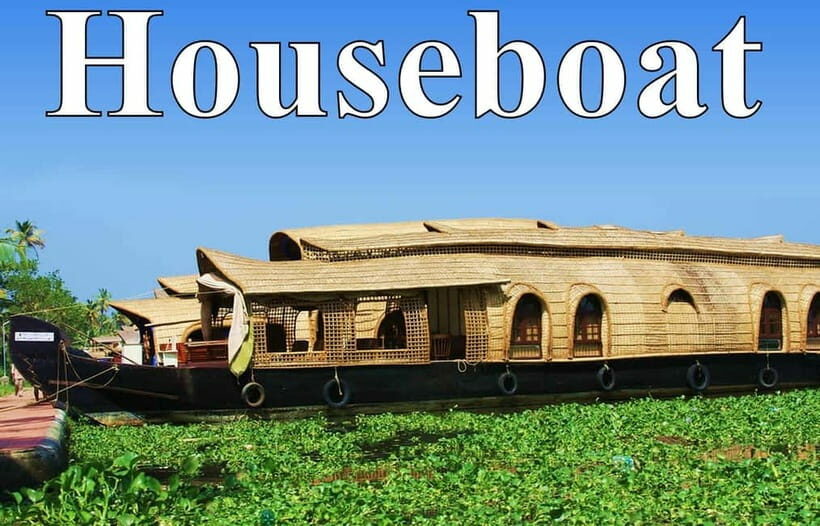 From Cochin Port: Backwater Cruise and Chinese Nets - The Value of This Tour