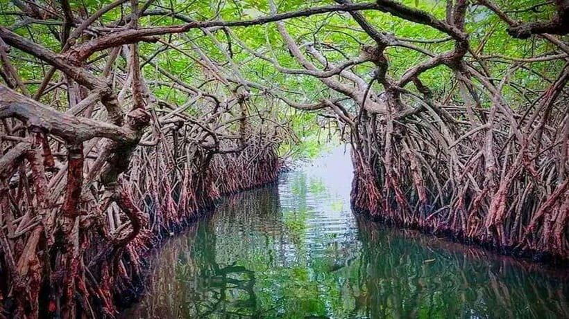From Colombo to Galle Fort and Unawatuna Beach Day Trip - A Closer Look at the Itinerary and Highlights