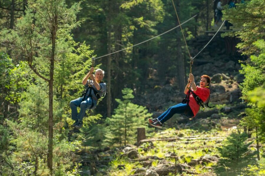 From Durango: All-Day Zipline Adventure with Train & Lunch - Who Will Love This Tour?