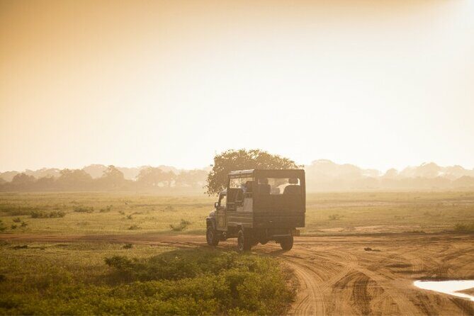 From Ella: Private Yala Safari & Transfer/Tangalle/Mirissa/Galla - Pricing and Value