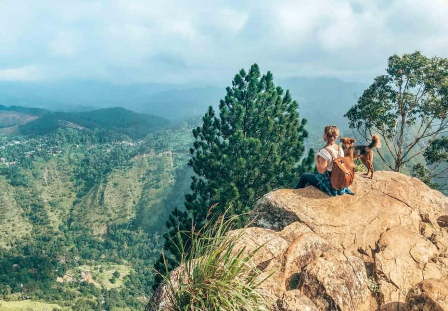 From Ella : Waterfalls, Nine Arch Bridge, Little Adam's Peak - Analyzing the Tour’s Value