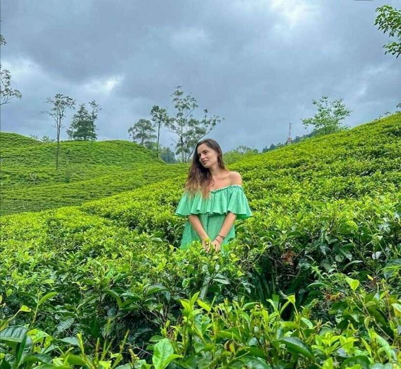 From Galle/Hikkaduwa/Mirissa -All-Inclusive Day Trip to Ella - What You Can Expect from This Tour