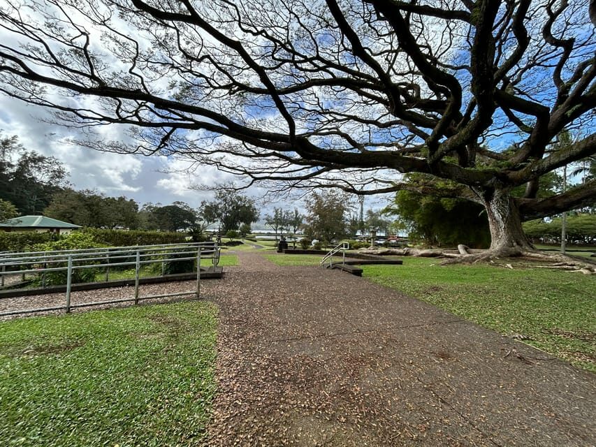 From Hilo: Hawaii Volcanoes National Park Tour - Who Should Consider This Tour?