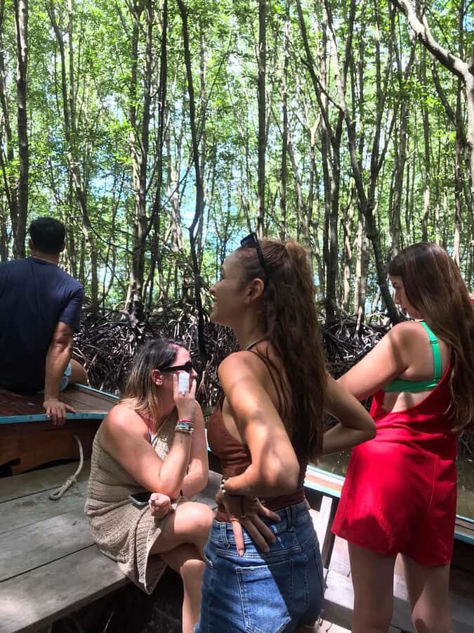 From Ko Lanta: Mangrove Boat Trip with Lunch & Wildlife - The Itinerary Breakdown