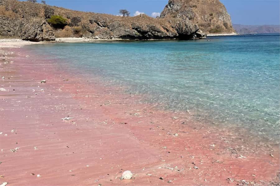 From Labuan Bajo: Komodo Dragons and Island Hop with All Fee - Who Should Consider This Tour?