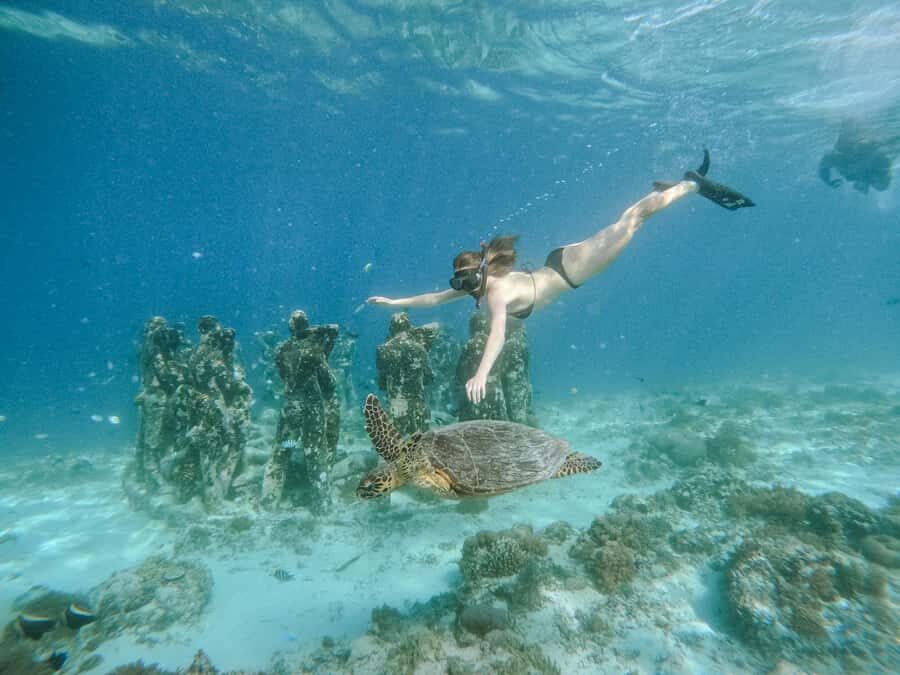 From Lombok: 3 Gili Islands Private Snorkeling Adventure - Who Will Enjoy This Tour Most?