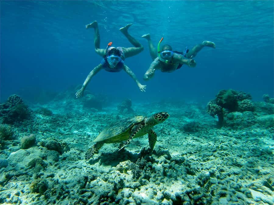 From Lombok: Gili Islands Snorkeling Day Trip - Whats Included and Practical Tips