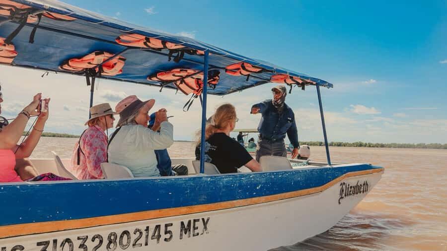 From Merida to Celestún: Biosphere, Flamingos & Beach Escape - The Value Proposition: Worth the Cost?