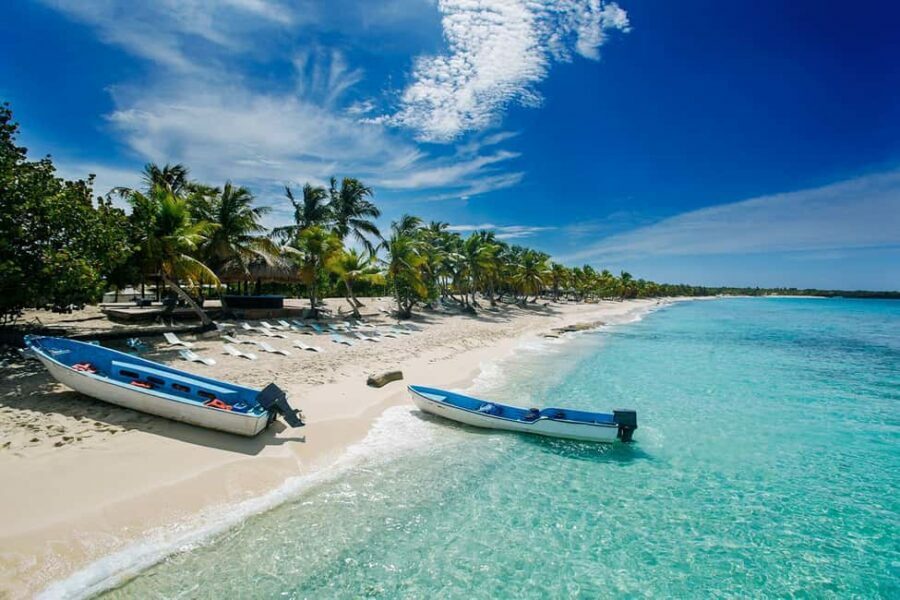 From miches: Isla Catalina Snorkeling Tour with Lunch - What You Can Expect from the Tour