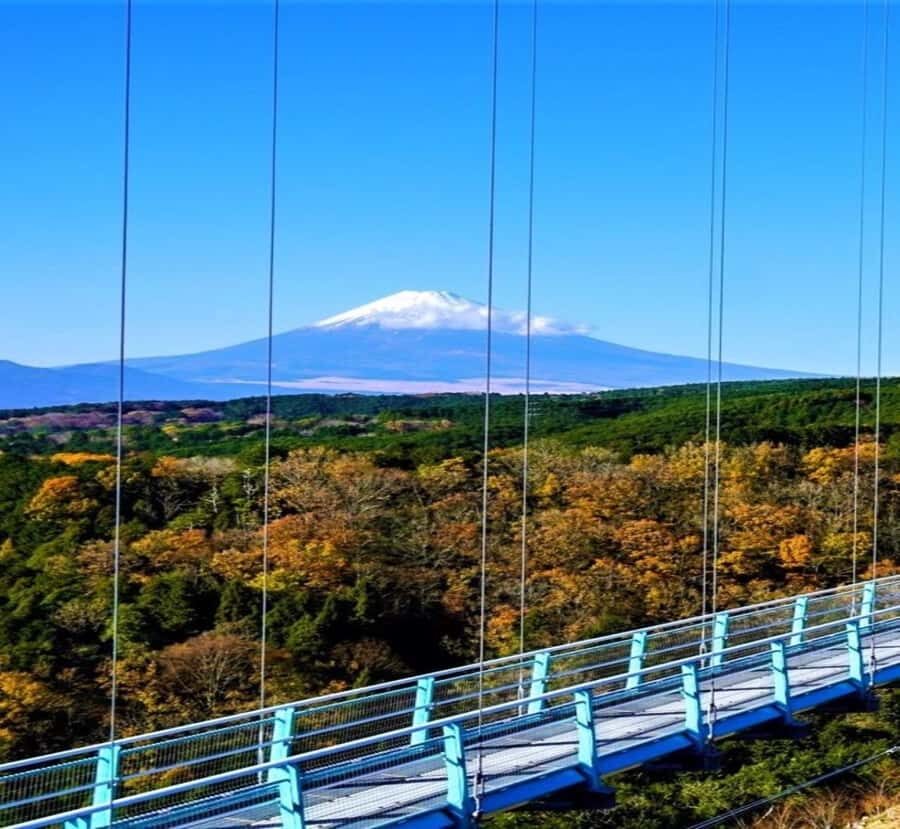 From Nagano: Mount Fuji Highlights & Hidden Landscapes Tour - Practical Considerations and Value