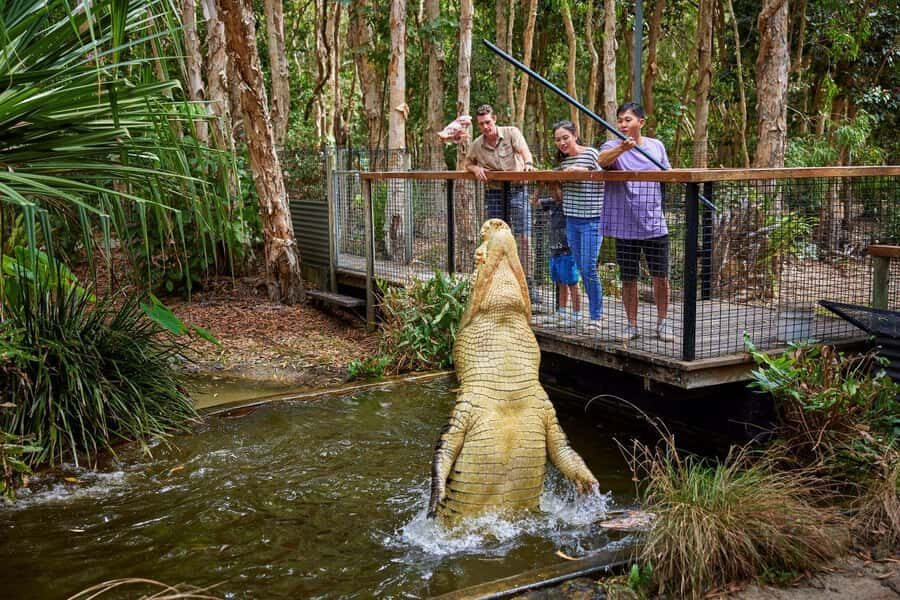From Port Douglas: Hartley's Crocodile Park, Skyrail & Train - What Makes This Tour Stand Out?