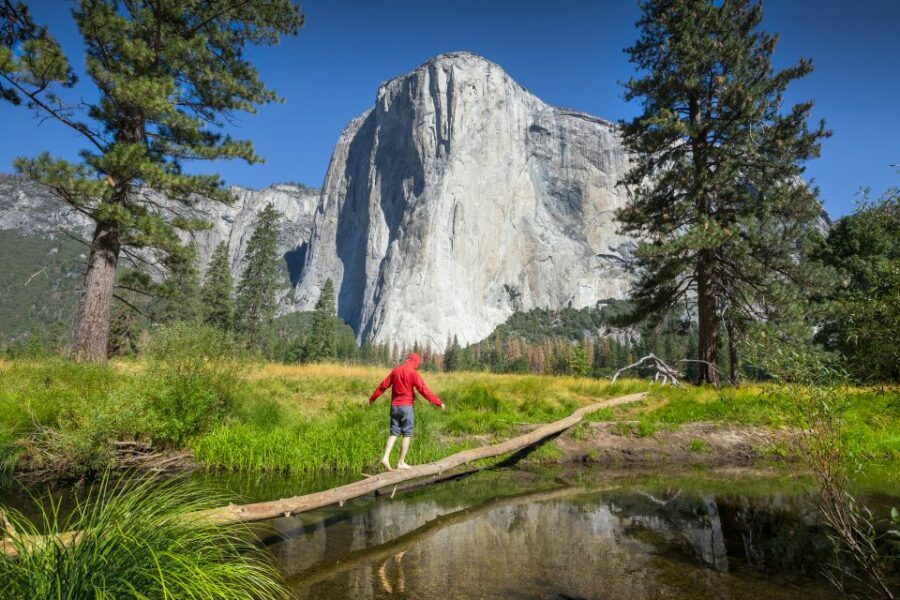 From San Francisco: 3-Day Yosemite Tour Without Hotel - What Travelers Say: Honest Feedback from Past Guests