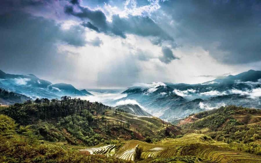 From Sapa: Y Linh Ho, Lao Chai & Ta Van Trek Day Tour - What the Reviews Tell Us