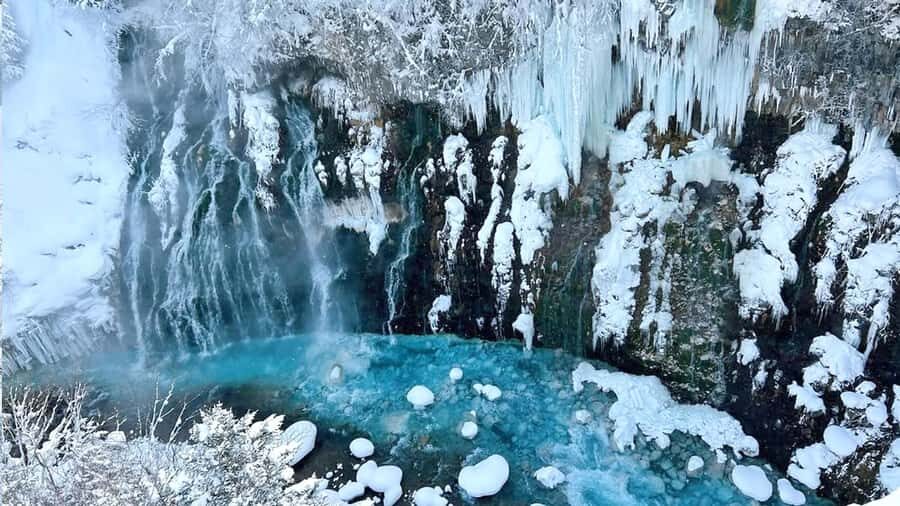 From Sapporo: Asahiyama Zoo, Waterfall & Blue Pond Tour - Practical Details and What to Expect