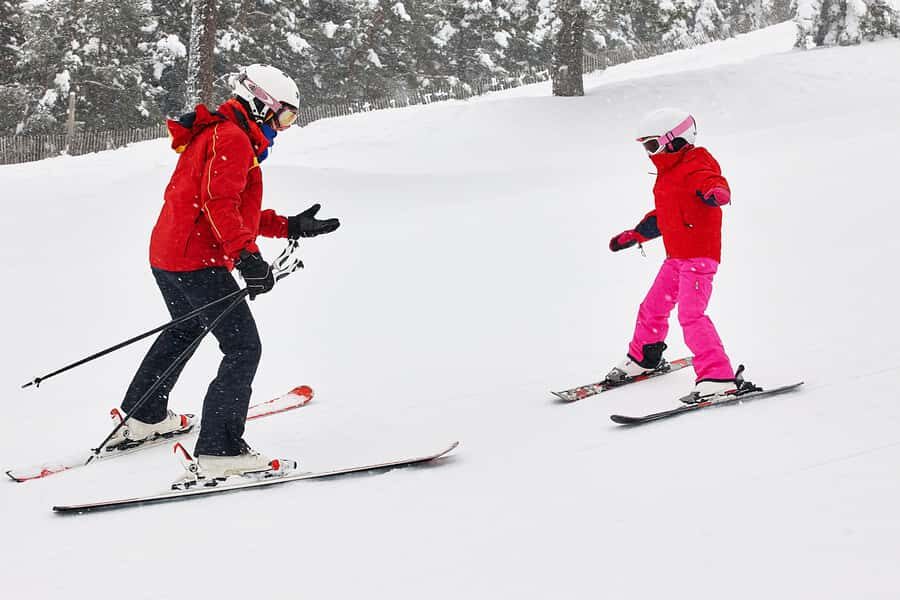 From Seoul: Elysian Ski Resort with Rental & Basic Lesson - What Makes the Elysian Ski Tour a Great Choice?