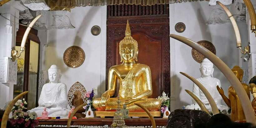 From Sigiriya: Kandy Transfer with Dambulla and Spice Garden - Practical Tips for Tour Participants