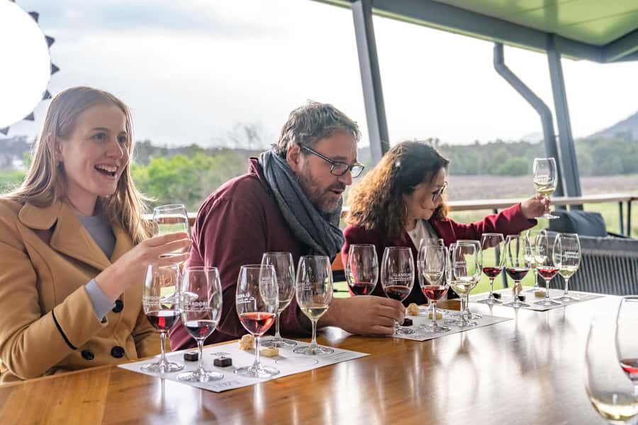 From Sydney: Award-Winning Hunter Valley Wine & Cheese Tour - Final Thoughts