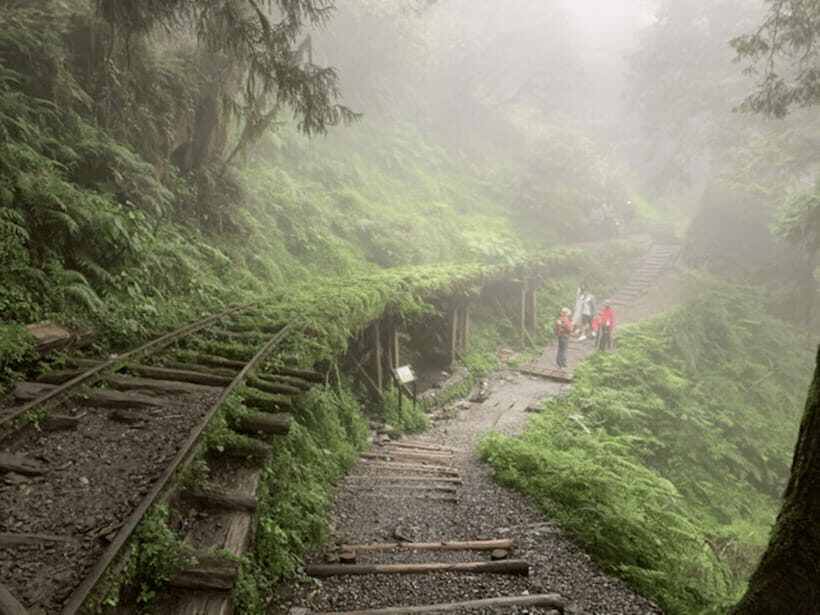 From Taipei: Taipingshan National Forest Private Day Tour - Who Will Love This Tour?