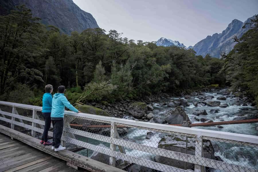 From Te Anau: Milford Sound Coach, Cruise, and Walks - The Details That Make or Break Your Day