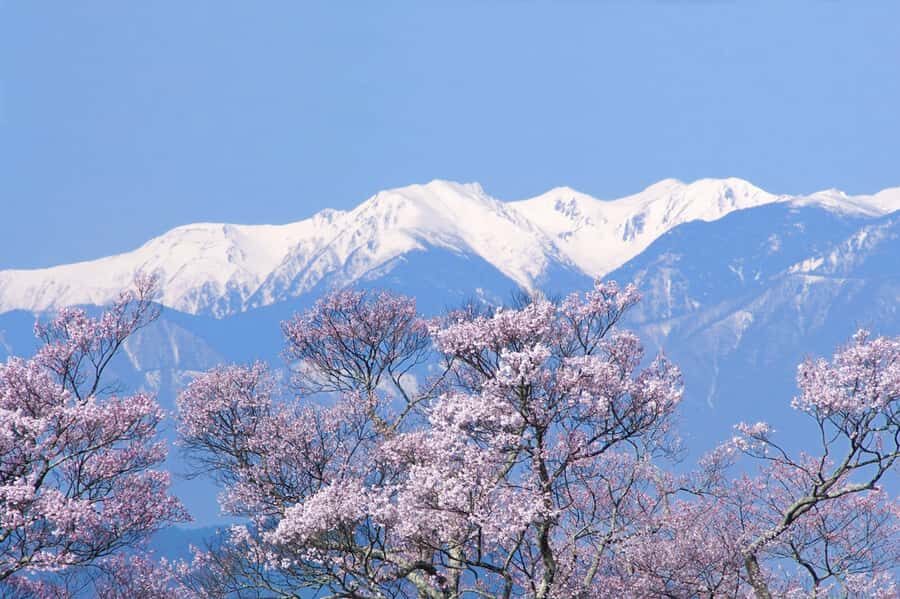 From Tokyo: Kawagoe Highlights & Karuizawa Resort Day Trip - Who Should Consider This Tour?