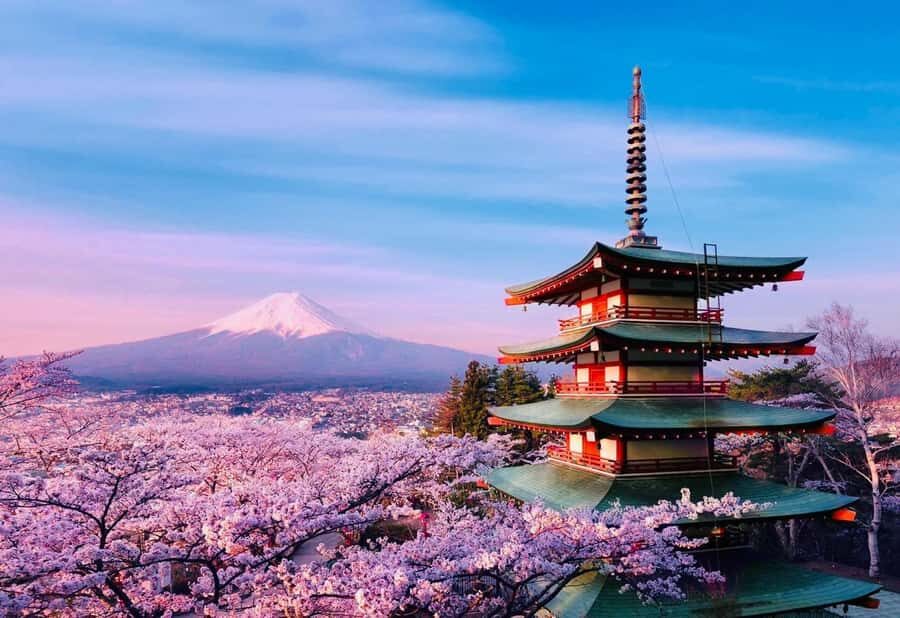 From Tokyo: Mount Fuji customizable Private Tour with Guide - The Value of a Private, Customizable Tour