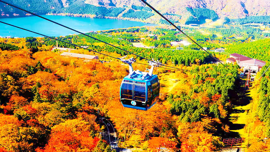 From Tokyo: Mt. Fuji Cruise & Hakone Ropeway Day Trip - Key Points