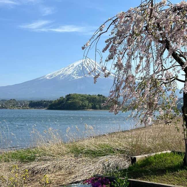 From Tokyo: Mt Fuji Private Day Tour In Luxury Land Cruiser - Who Is This Tour Best For?