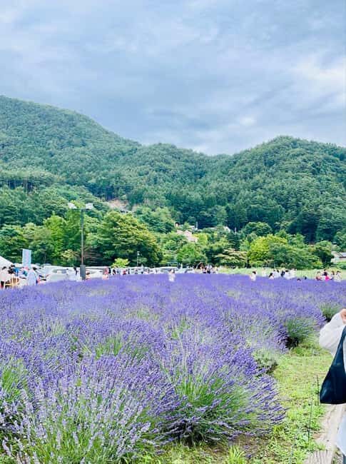From Tokyo: Mt. Fuji Spanish & English Tour - A Detailed Look at the Itinerary