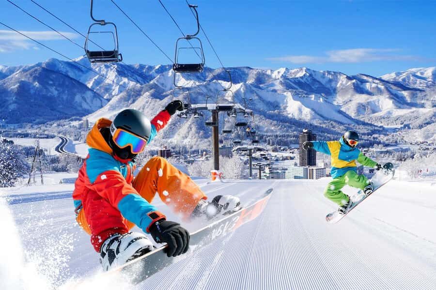 From Tokyo Skiing Day Tour: Niigata Iwappara Ski Resort - Overview of the Tour Experience