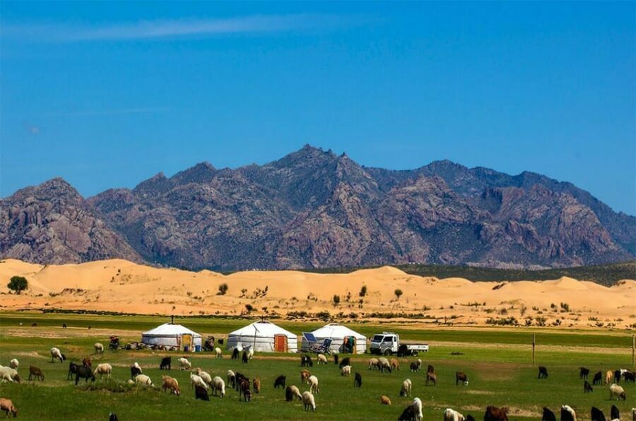 From Ulaanbaatar: Semi Gobi and Ancient Kharkhorin Tour - What to Expect: From Culture to Adventure