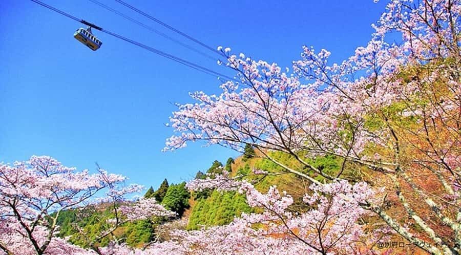 FukuokaDazaifu,Yufuin Village,Beppu Ropeway,Kamado Jigoku - A Day of Contrasts: What to Expect on This Kyushu Tour