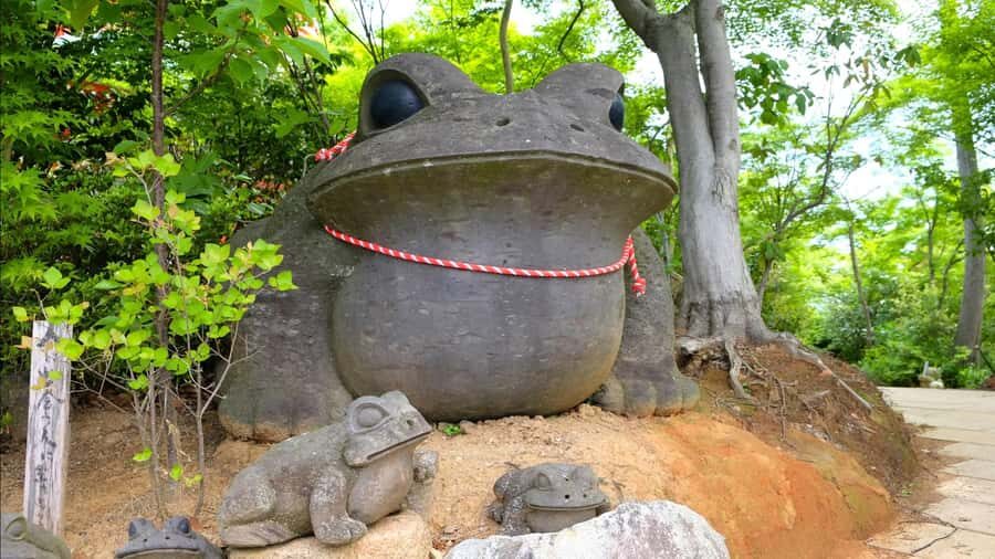 Fukuoka:Frog Temple, Beppu Hell Springs Tickets Incl &Yufuin - What This Tour Means for You