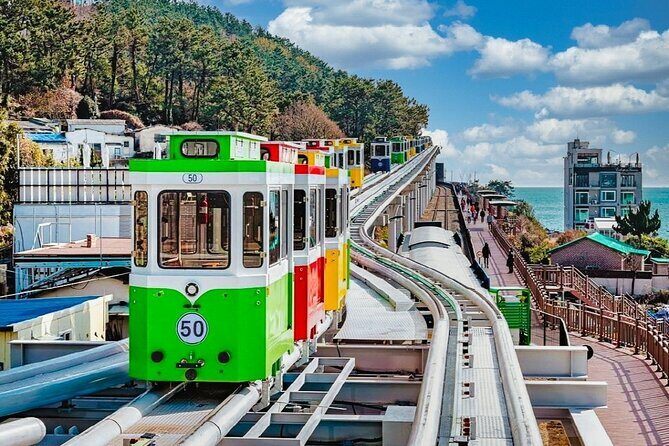 Full-Day Busan Highlights Private Guided Tour - Transportation and Logistics
