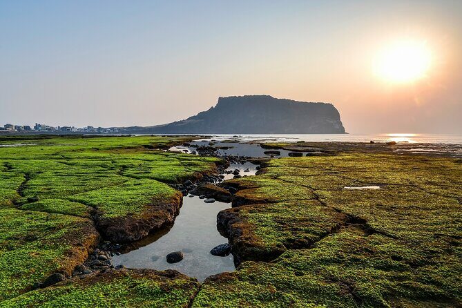 Full Day Essential Jeju Island Private tour for West Course - Detailed Breakdown of the Itinerary