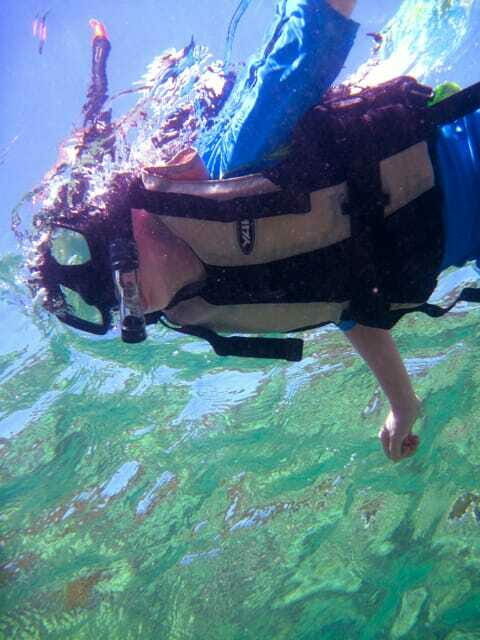 Full-Day Guided Snorkeling Tour from Kota Kinabalu - What to Expect: Practical Details