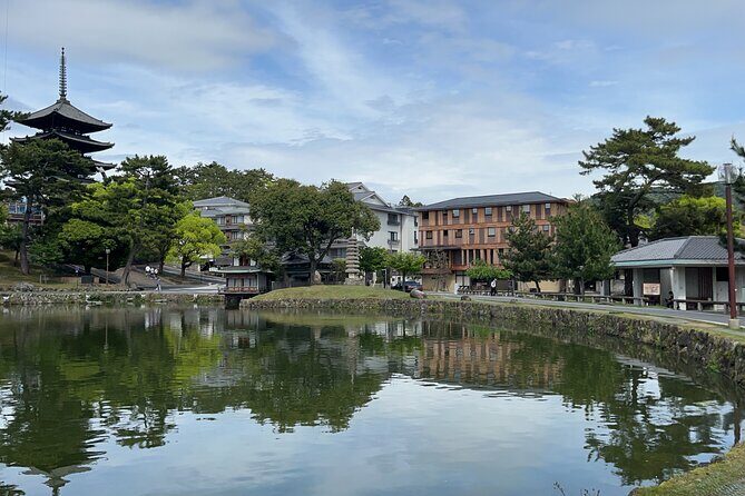 Full Day Guided Tour to Nara from Osaka by Van - Why This Tour Appeals