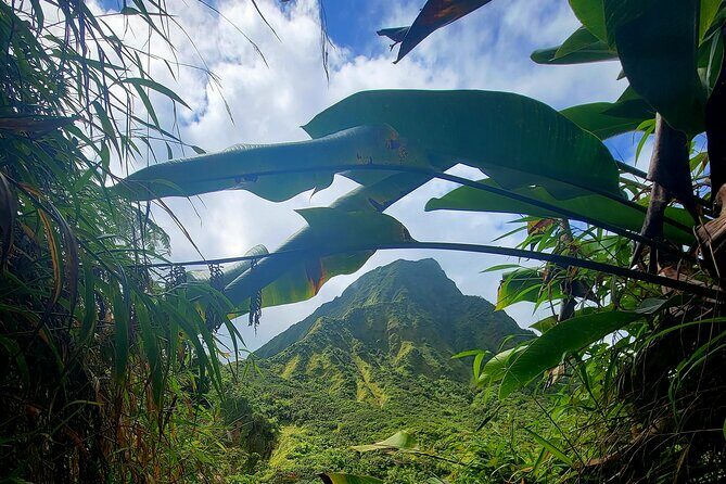 Full Day Hike Tour from Dominica - Transportation, Duration, and Group Size