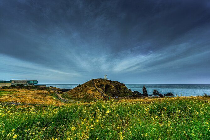Full-Day Jeju Island UNESCO Tour for Cruise Layover Guests - Why This Tour Is a Good Fit