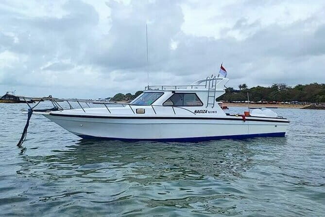 Full-Day Nusa Penida Island with Snorkeling from Bali - Transportation and Overall Value