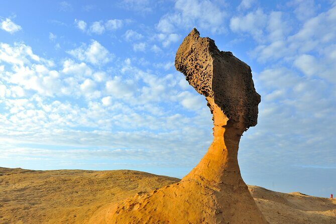 Full-Day Private Tour in Northern Taiwan - The Value of This Tour