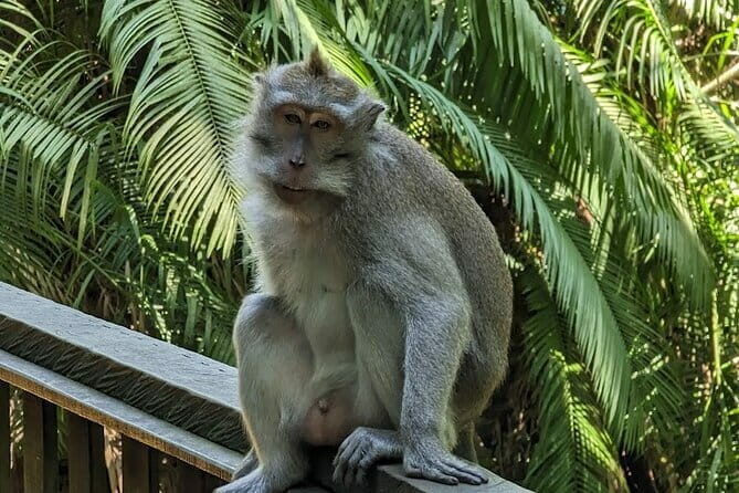 Full Day Private Tour to Ubud Waterfall and Uluwatu Sunset - A Closer Look at the Itinerary
