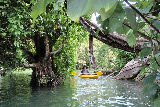 Full Day River Kayaking & Cascades from Port Vila - Authenticity and Value: What Sets This Tour Apart