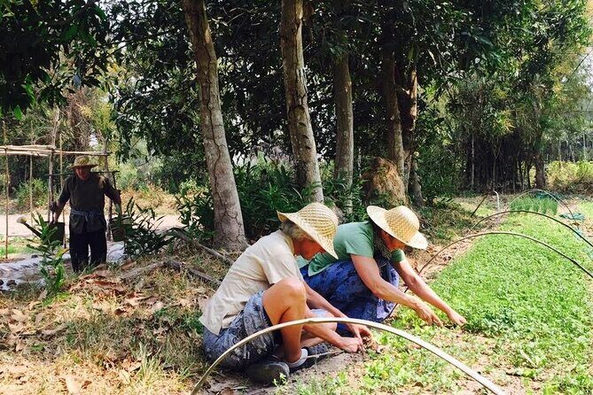 Full Day Siem Reap Farm Tour with Cooking Class and Monk Blessing - A Balanced Look at the Experience