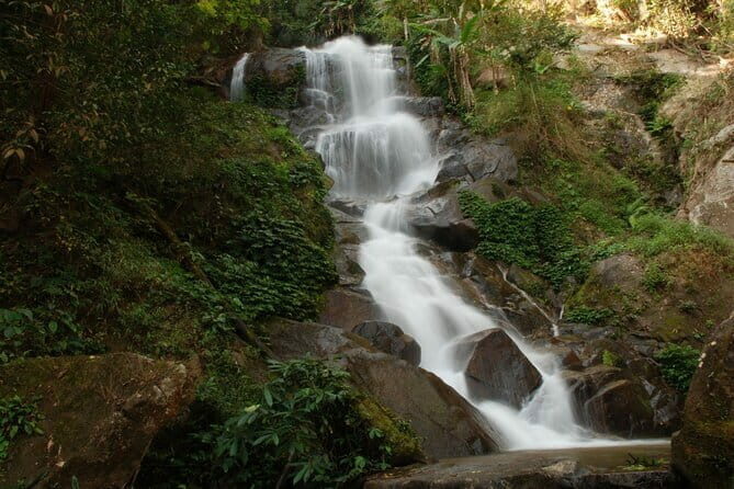 Full Day Trekking & bamboo cooking Tour in Chiang Rai - Authenticity and Value