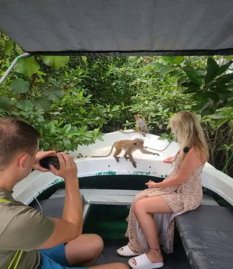 Galle: Koggala Lake Boat Tour - Cinnamon Island & Wildlife - What to Expect on the Itinerary
