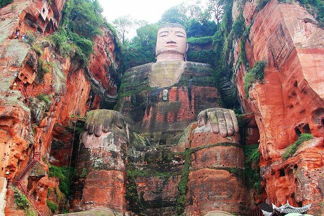 Giant Panda and Leshan Buddha Day Trip from Chengdu - What’s included and what’s not?