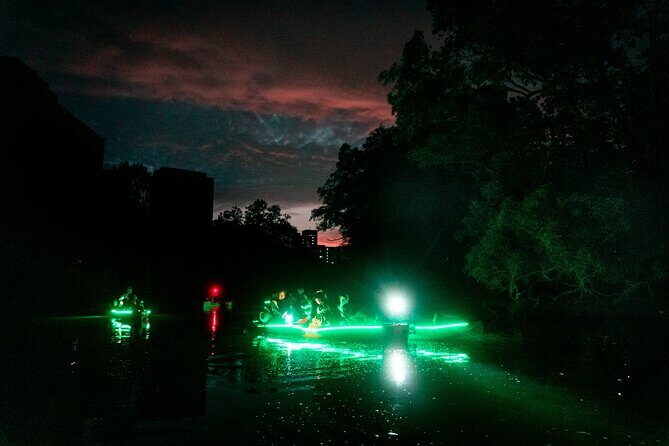 Glow Kayak Night Adventure in the Mangroves - Authentic Traveler Feedback
