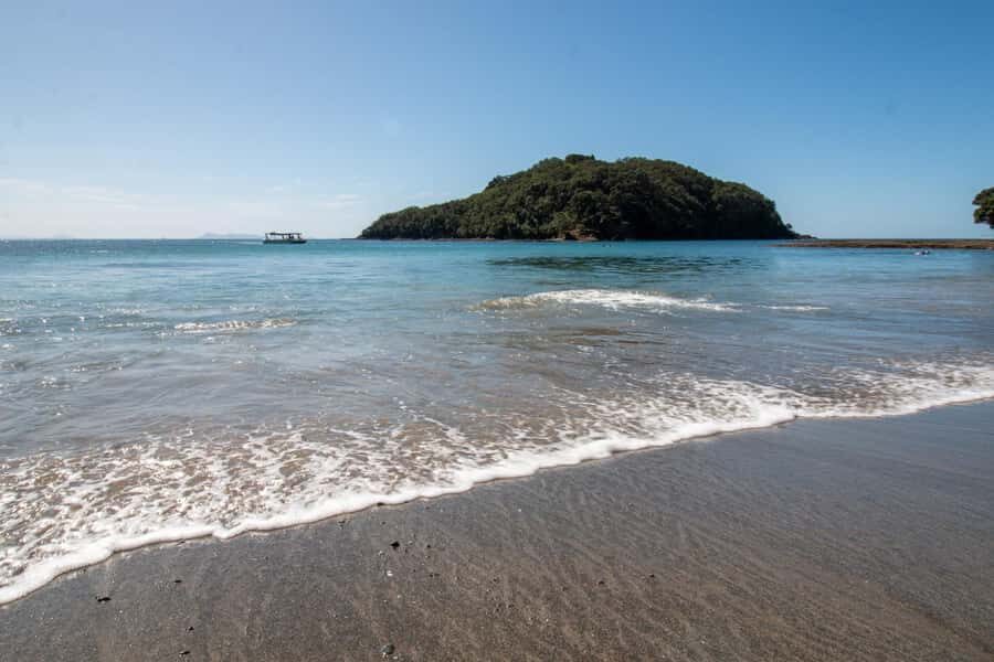 Goat Island: Glass Bottom Boat Tour - The Marine Ecosystem Unveiled