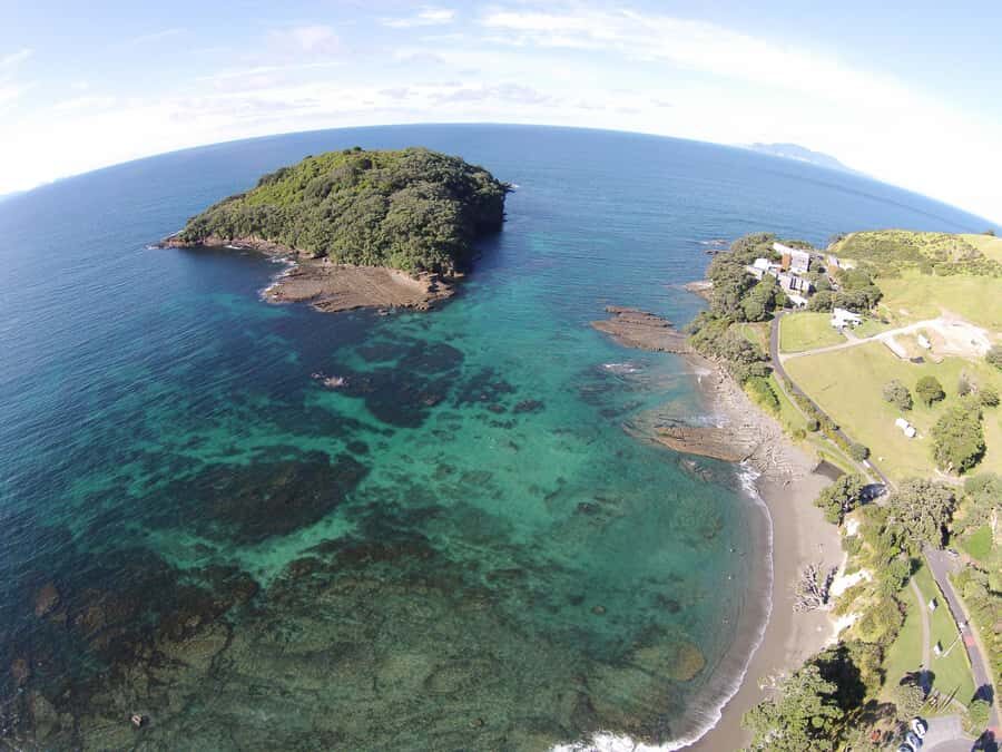 Goat Island Guided Snorkelling Tour For Advanced - Itinerary Breakdown and Experience Details