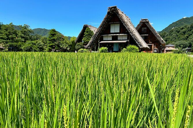 Gokayama and Shirakawago (UNESCO Heritage) Small Group(Max 9) - What Makes This Tour Stand Out?